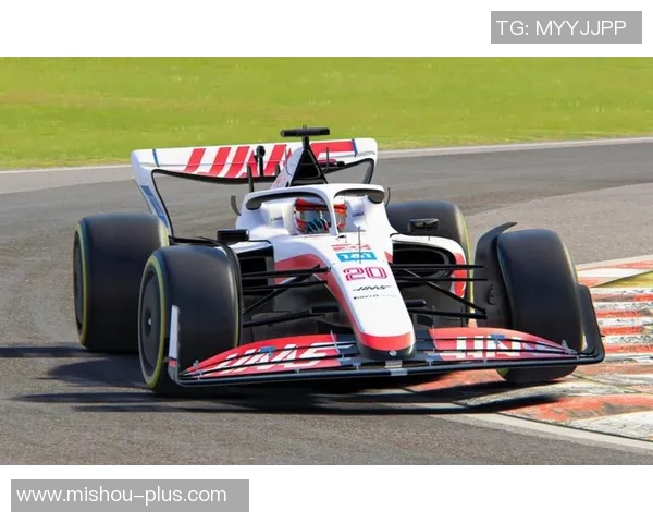 哈斯车队崛起之路：挑战极限与追逐梦想的赛车故事