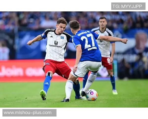 菲尔特主场迎战霍芬海姆争夺宝贵积分展现球队实力与斗志 菲尔特主场迎战霍芬海姆争夺宝贵积分展现球队实力与斗志