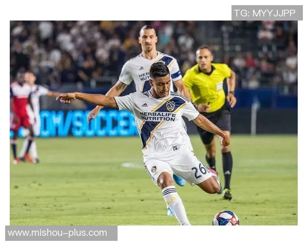 波特兰与达拉斯比赛结果揭晓精彩瞬间回顾与分析