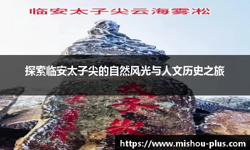 一竞技新版本